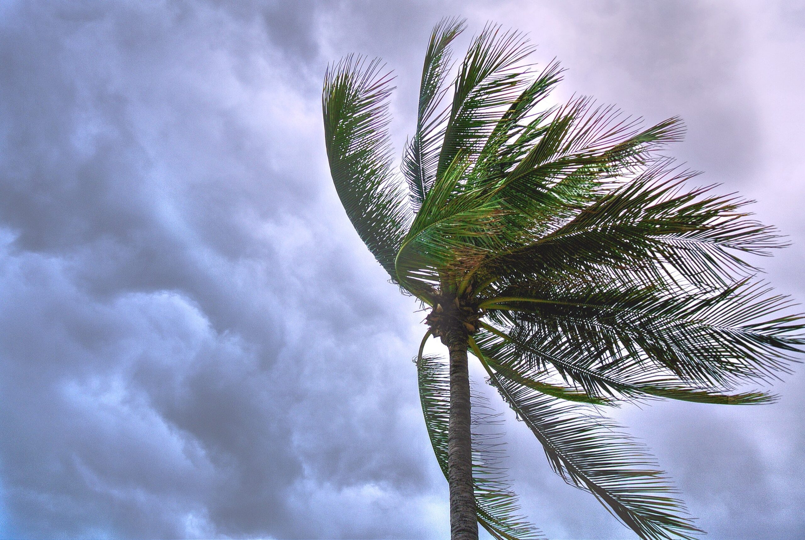 Hurricane Season